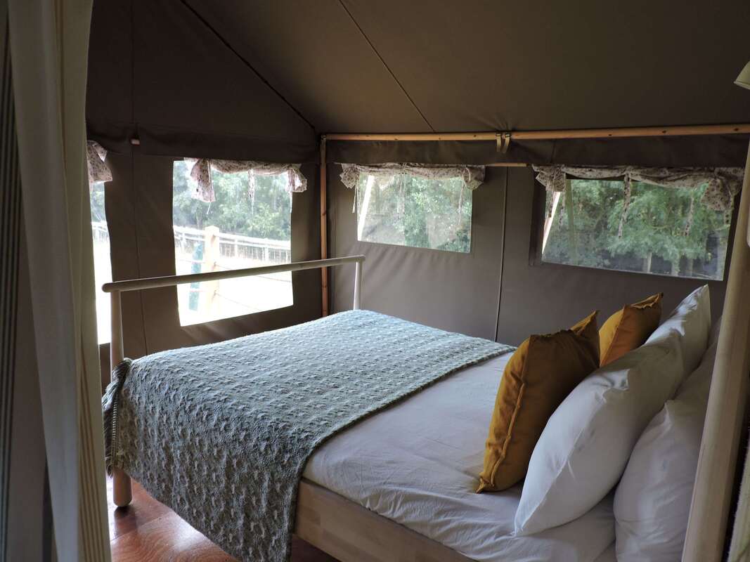 king bed in safari tent 