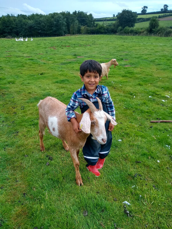 child with goat