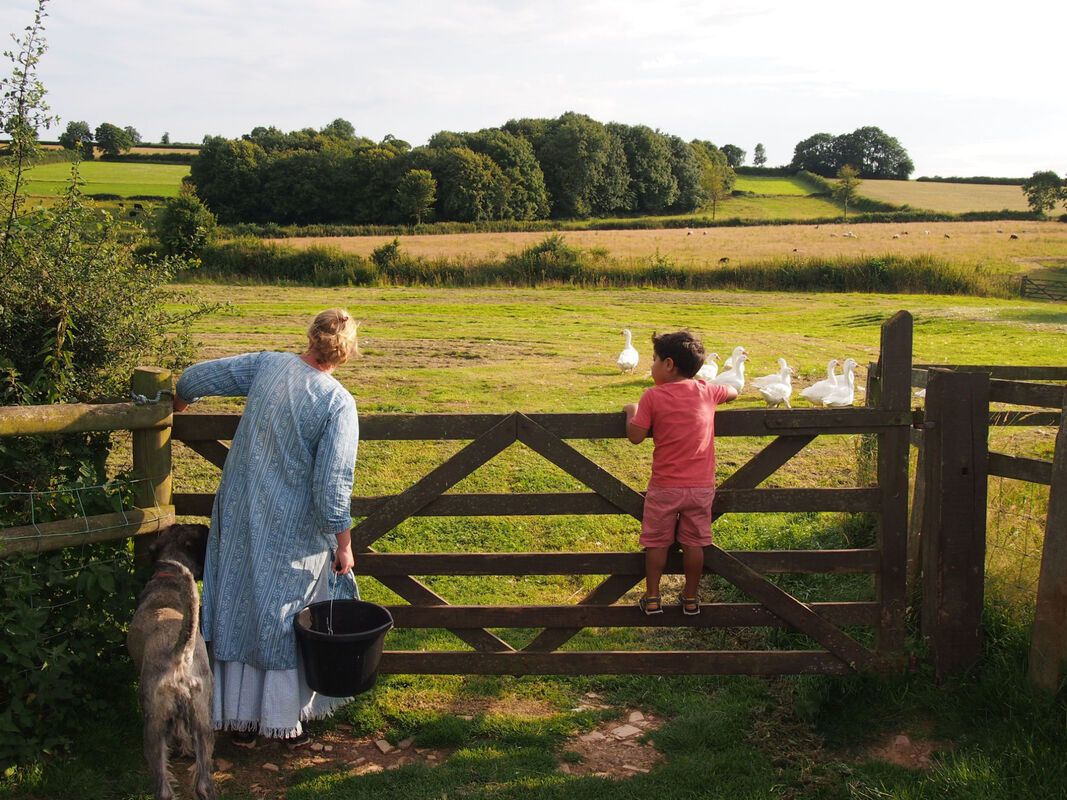 Farm Holidays in Somerset