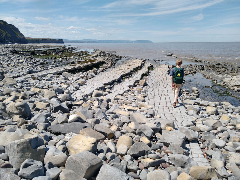 Kilve fossil beach Quantocks Somerset