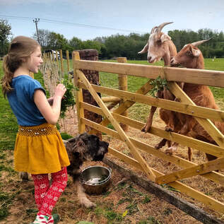 glamping on the farm with goats